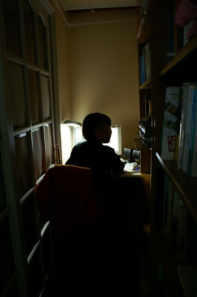 파일:PICT7837 s.jpg