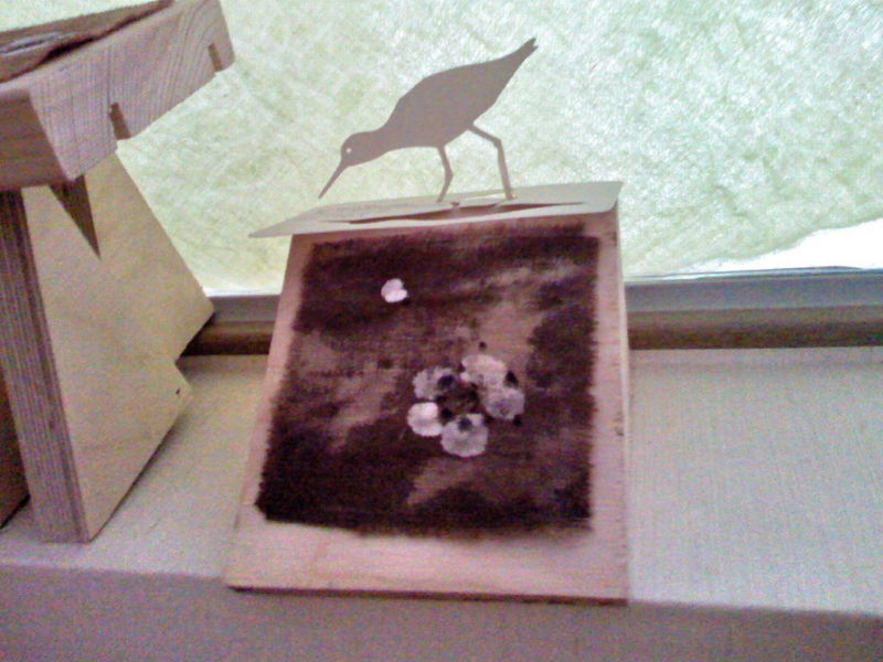 파일:P080613 013.jpg